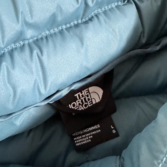 The North Face Mallard Blue Stretch 700 Down Mens Jacket Large BNWT - Picture 3 of 3